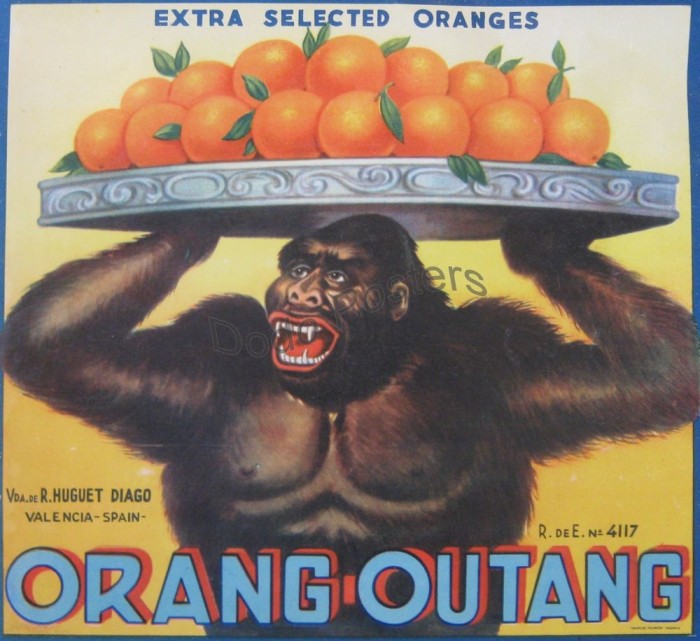 Orang-Outang (oranges) - Dodo Posters