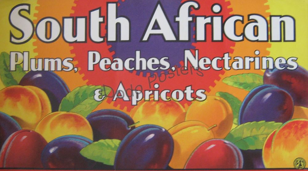 South African Plums, Peaches, Nectarines & Apricots Dodo Posters