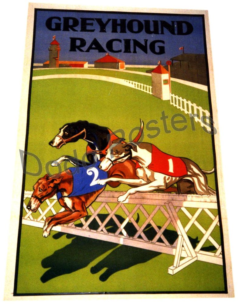 Greyhound Racing - Dodo Posters