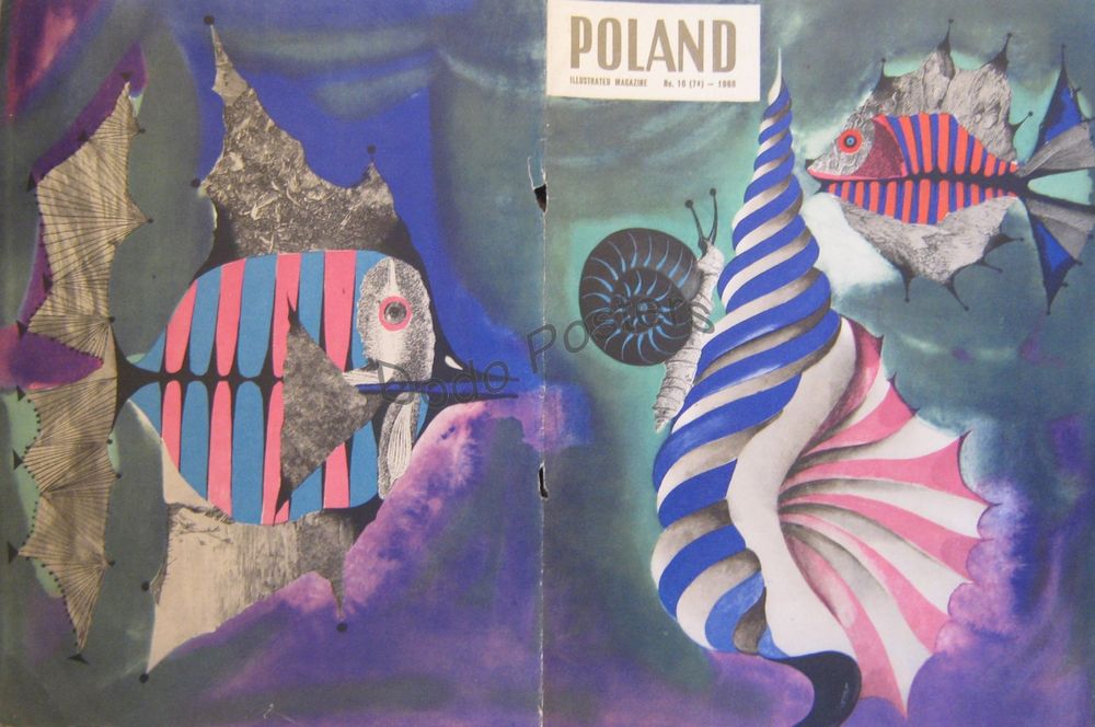 Poland Illustrated Magazine