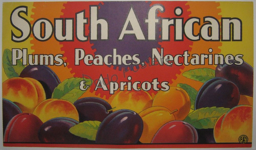 South African Plums Peaches Nectarines Apricots