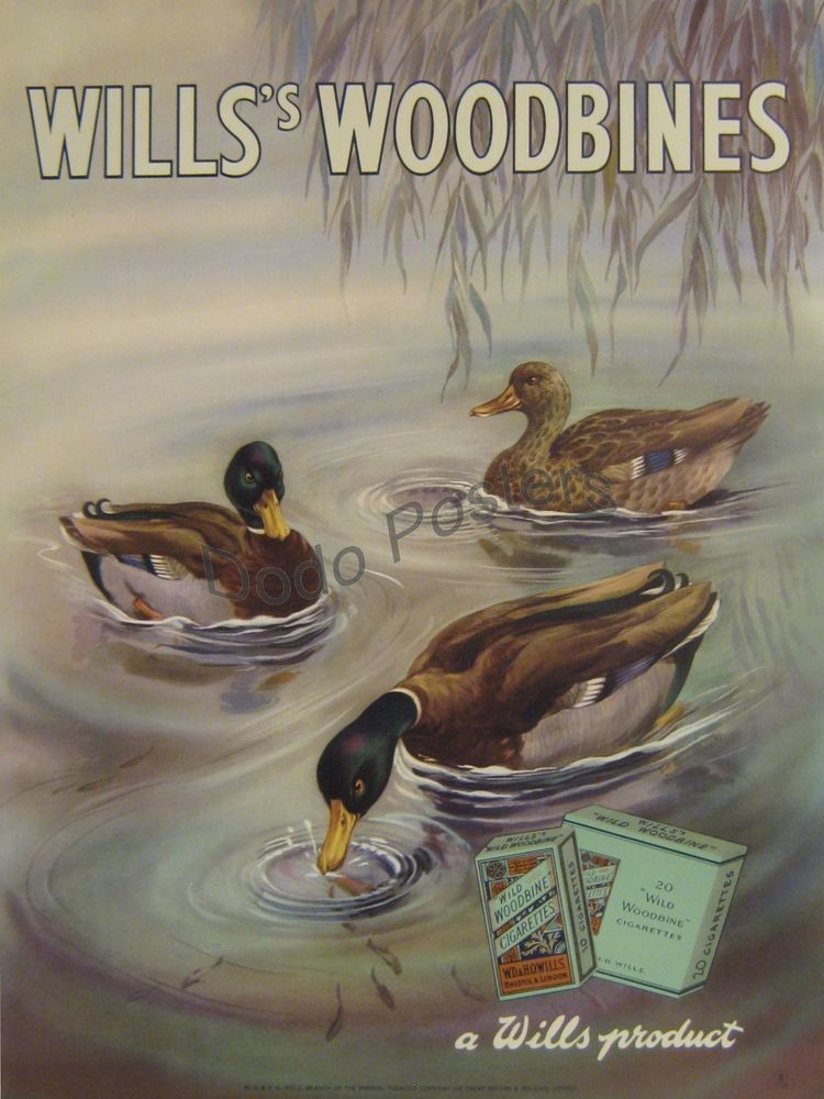 Willss Woodbines
