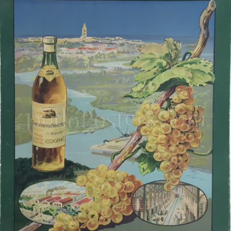 Salamander – Brandy