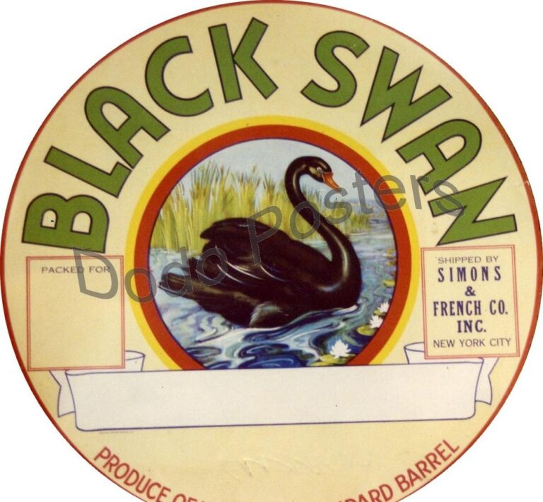 Black Swan