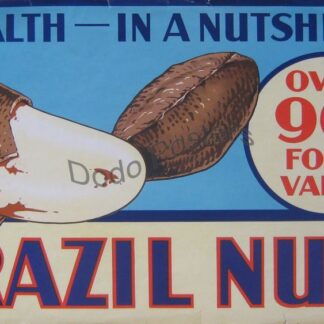 Brazil Nuts (health in a nutshell)