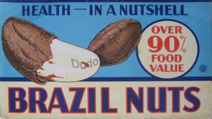 Brazil Nuts (health in a nutshell)