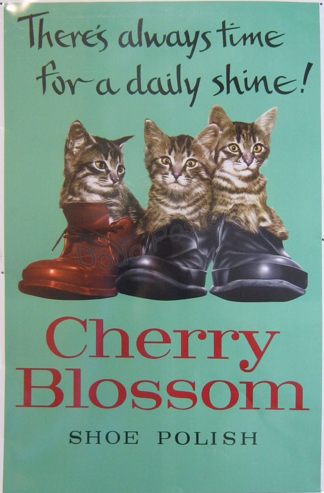 Cherry Blossom Shoe Polish