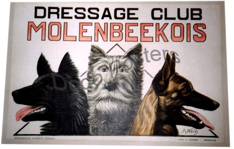 Dressage