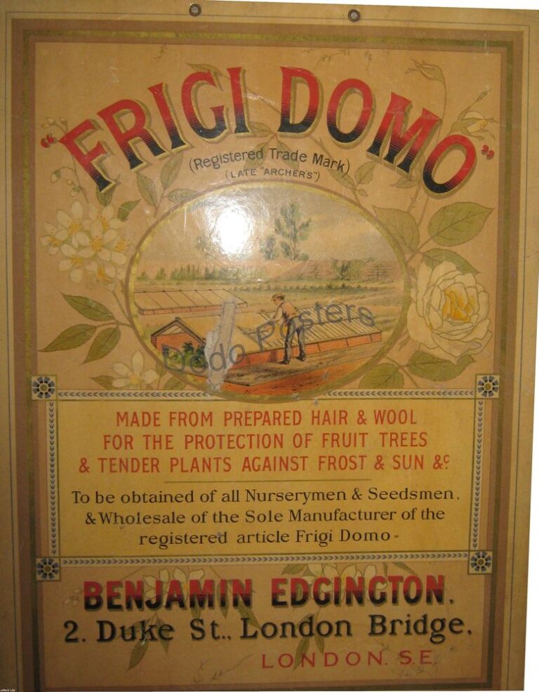 Frigi Domo
