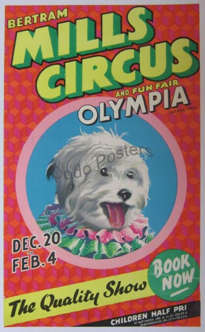 Mills Circus Olympia (dog)