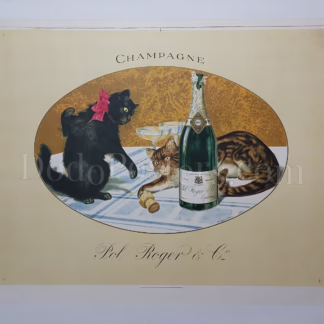 Pol Roger (champagne & kittens)