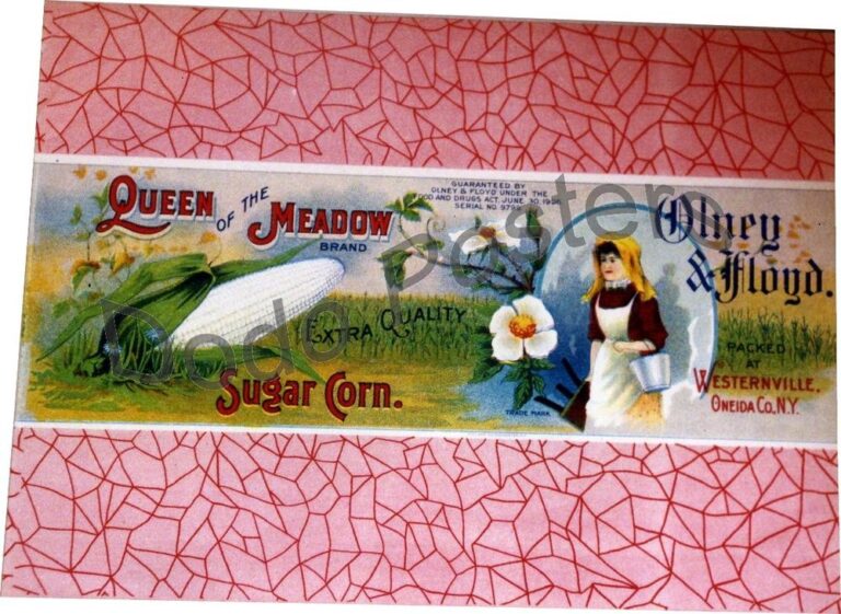 Queen of the Meadow