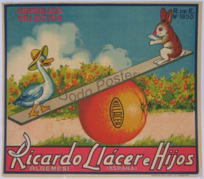 Ricardo (duck, rabbit & orange)