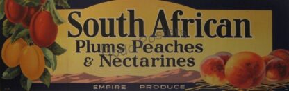 South African Plums